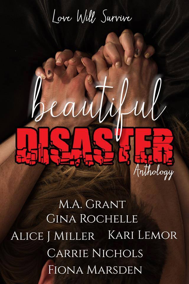 Beautiful Disaster Anthologyby Fiona Marsden