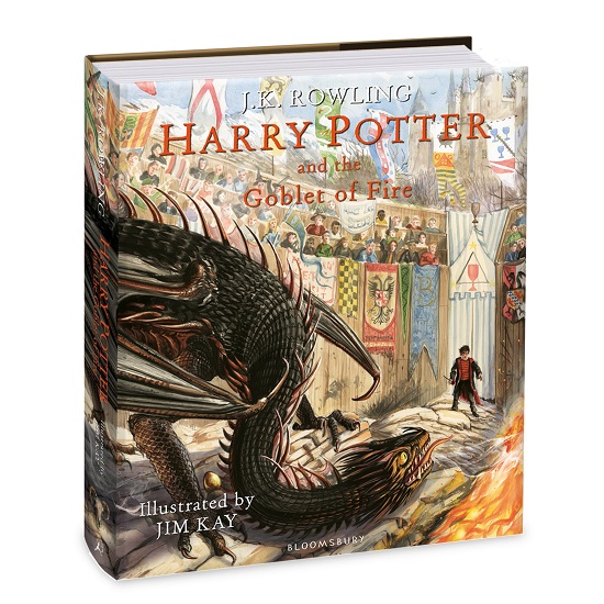 Harry Potter illustrated by Jim Kayjust finished re-reading 'The Goblet  of Fire' and I am amazed by how some illustrations look like! I feel Jim  Kay really did a great job at