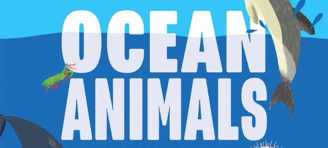 Blake Chapman - Ocean Animals - Header Banner