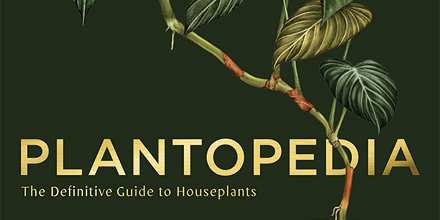 Plantopedia