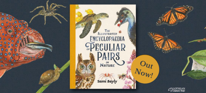 Sami Bayly - The Illustrated Encyclopaedia of Peculiar Pairs in Nature - Header Banner