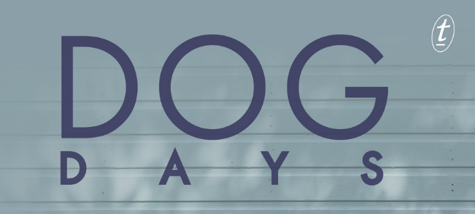 Andrew Cotter - Dog Days - Header Banner