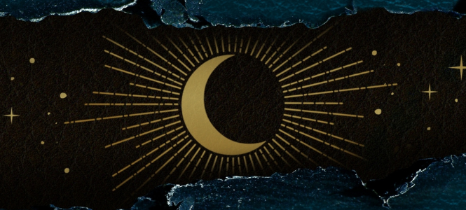 Holly Black - Book of Night - Header Banner