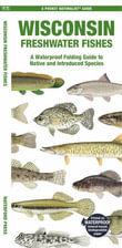 Australian Fishing Encyclopedia by Nigel Webster, 9781865133621