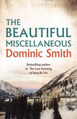 Dominic Smith The Last Painting of Sara de Vos (Paperback) (UK IMPORT)