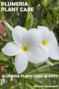 Plumeria Plant Care : Plumeria Plant Care In Pots - Justin Njoagwuali