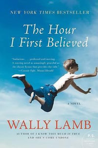 The Hour I First Believed : P.S. - Wally Lamb