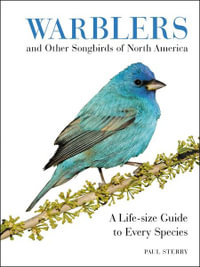 Warblers And Other Songbirds Of North America : A Life-size Guide To Every Species - Paul Sterry