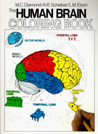 The Human Brain Coloring Book : A Coloring Book - Arnold B Scheibel