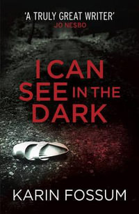 I Can See in the Dark - Karin Fossum