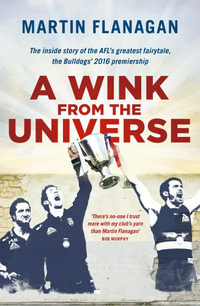 A Wink from the Universe - Martin Flanagan