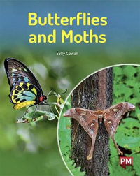 Butterflies and Moths - Sally Cowan