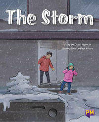 The Storm - Diana Noonan