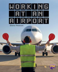 Working at an Airport - Diana Noonan