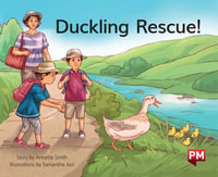 Duckling Rescue : PM Library Green - Annette Smith