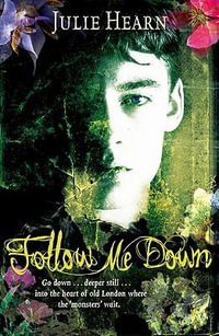 Follow Me Down - Julie Hearn