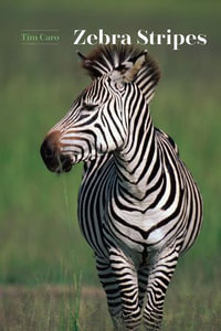 Zebra Stripes - Tim Caro