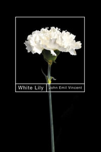 White Lily : Hugh MacLennan Poetry - John Emil Vincent