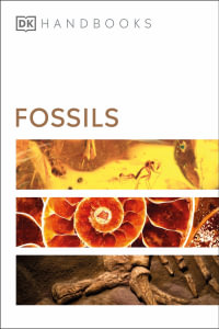 Fossils : DK Handbooks - DK