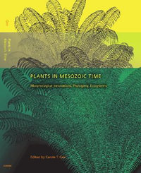 Plants in Mesozoic Time : Morphological Innovations, Phylogeny, Ecosystems - Carole T. Gee