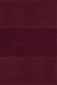 NIV Study Bible, Fully Revised Edition, Large Print, Red Letter, Thumb Indexed, Comfort Print [Burgundy] : NIV Study Bible, Fully Revised Edition - Zondervan