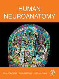 Human Neuroanatomy - Reha Erzurumlu