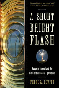 A Short Bright Flash - Theresa Levitt