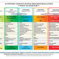 Autonomic Nervous System Table : Laminated Card - Babette Rothschild