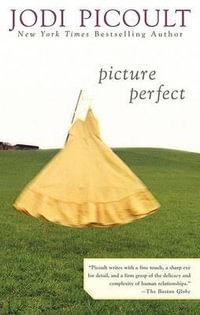 Picture Perfect - Jodi Picoult