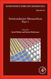 Semiconductor Metamaterials : Part 1: Volume 116 - Martin Hafermann