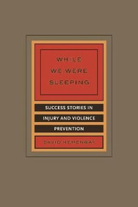 While We Were Sleeping : Success Stories in Injury and Violence Prevention - David Hemenway