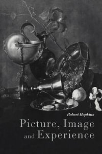 Picture, Image and Experience : A Philosophical Inquiry - Robert Hopkins