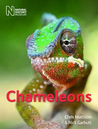 Chameleons - Chris Mattison