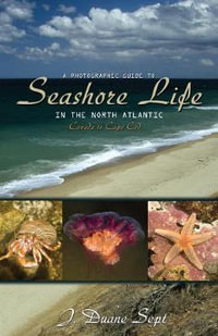 A Photographic Guide to Seashore Life in the North Atlantic : Canada to Cape Cod - J. Duane Sept