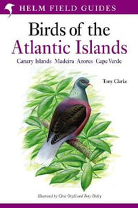 Field Guide to the Birds of the Atlantic Islands : Canary Islands, Madeira, Azores, Cape Verde - Mr Tony Clarke