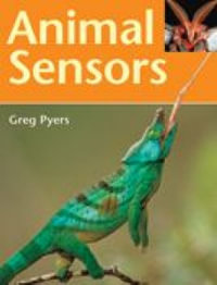 Rigby Literacy Fluent Level 4 : Animal Sensors (Reading Level 26/F &P Level Q) - Greg Pyers