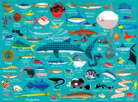 Ocean Life - Family Puzzle : 1000-Piece Jigsaw Puzzle - Mudpuppy