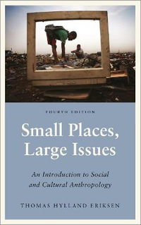 Small Places, Large Issues : An Introduction to Social and Cultural Anthropology - Thomas Hylland Eriksen