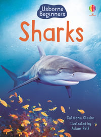 Sharks : Usborne Beginners - Catriona Clarke