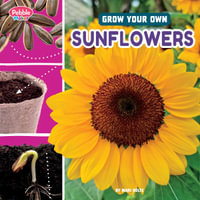 Grow Your Own Sunflowers : Pebble Maker Grow - Lisa J. Amstutz