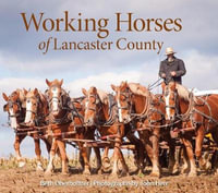 Working Horses of Lancaster County - BETH OBERHOLTZER