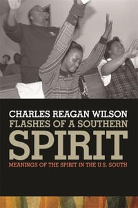 Flashes of a Southern Spirit : Meanings of the Spirit in the U.S. South - Charles Reagan Wilson