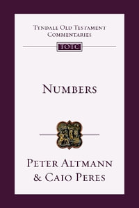 Numbers - An Introduction and Commentary : An Introduction and Commentary - Caio Peres