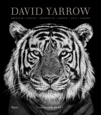 David Yarrow Photography : Americas Africa Antarctica Arctic Asia Europe - David Yarrow