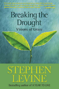 Breaking the Drought : Visions of Grace - Stephen Levine