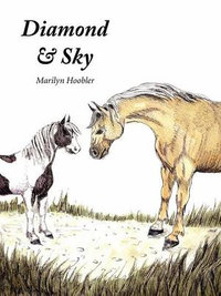 Diamond & Sky - Marilyn E Hoobler