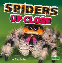 Spiders Up Close : Seedlings - Backyard Science - Alan Walker