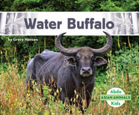 Water Buffalo : Asian Animals - Grace Hansen