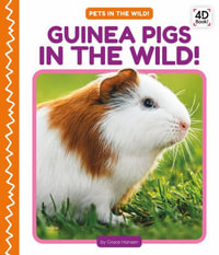 Guinea Pigs in the Wild! : Pets in the Wild! - Grace Hansen