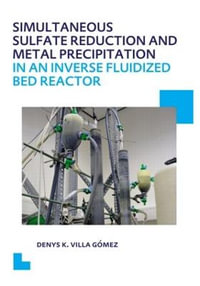 Simultaneous Sulfate Reduction and Metal Precipitation in an Inverse Fluidized Bed Reactor : UNESCO-IHE PhD Thesis - Denys Kristalia Villa Gomez